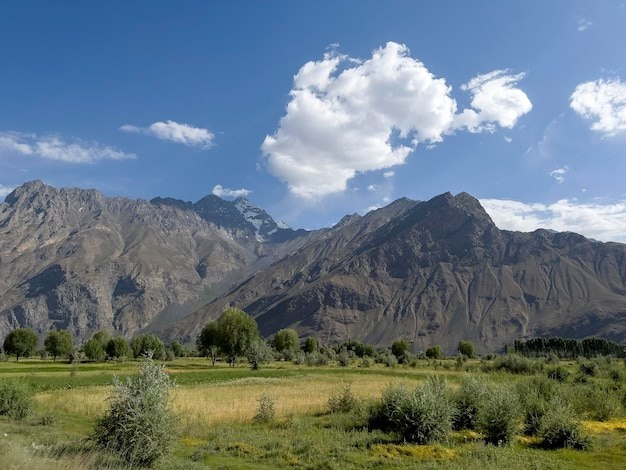 Shveysariya Alp tog‘larida besh nafar chang‘ichi halok bo‘ldi, biri esa bedarak yo‘qoldi